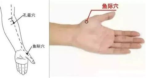 孔最的准确位置图图片 孔最的准确位置图图片