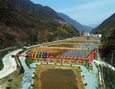 金米现代农业产业园项目简介 | 柞水县人民政府
