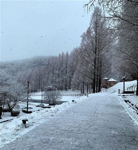 雪が無くならないうちに｜ライトバン59のブログ｜ シルバ－ウィングでツ－リング - みんカラ