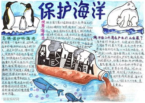 爱护海洋环境的手抄报(保护海洋手抄报 爱护环境) - 抖兔教育