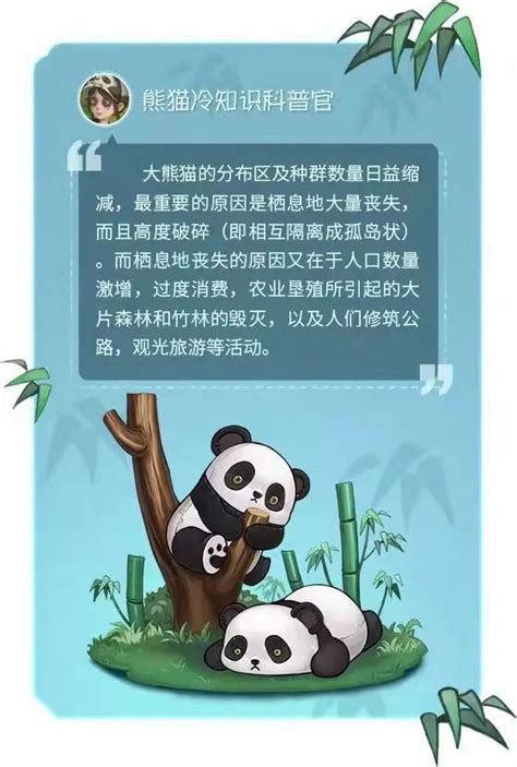 游戏五日谈：第五人格熊猫的守护者活动复刻，拼图可获得熊猫宝宝-小米游戏中心