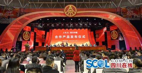 首个全球动力电池大会在宜宾开幕，院士呼吁中国加大行动力度__财经头条