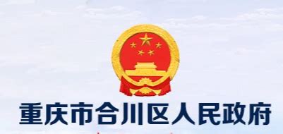 重庆市合川区人民政府(政务服务网)