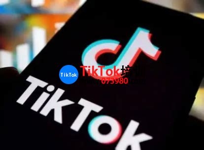 从0到1的TikTok跨境电商运营指南 - 知乎