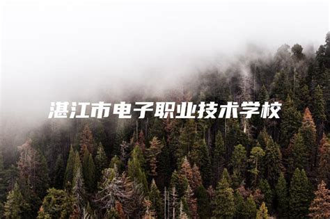 湛江市电子职业技术学校-中专排名网
