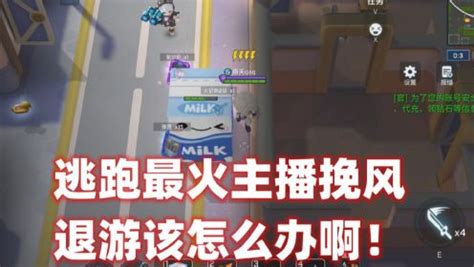 《挽风》图片