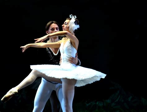 俄罗斯柴可夫斯基芭蕾舞团《天鹅湖》 - 舞蹈图片 - Powered by Chinadance.cn!