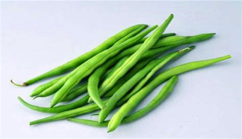 王豆图片