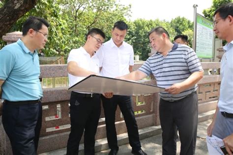 高埗镇主要领导调研水污染治理工程建设