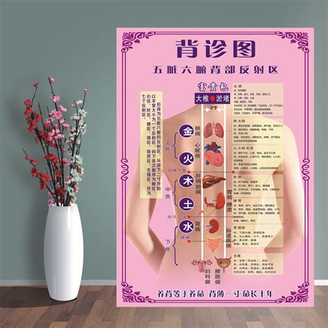 后背部位图解大全图片