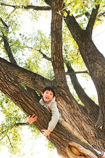 趴在树上的快乐男孩高清图片下载-正版图片507681779-摄图网