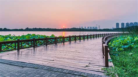 2021后官湖湿地公园-旅游攻略-门票-地址-问答-游记点评，武汉旅游旅游景点推荐-去哪儿攻略