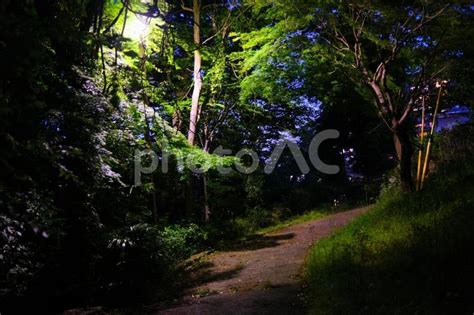 夜の公園 - No: 4926933｜写真素材なら「写真AC」無料（フリー）ダウンロードOK