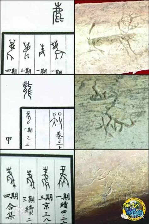 什么是“华夏”？从华夏族到汉族的历史，汉族发生了什么变化？