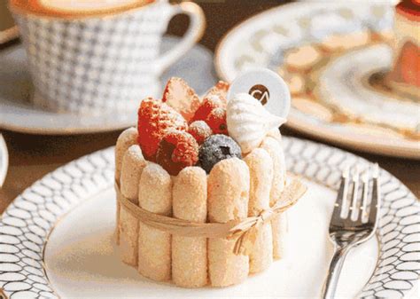 saute 法式餐饮 的图像结果