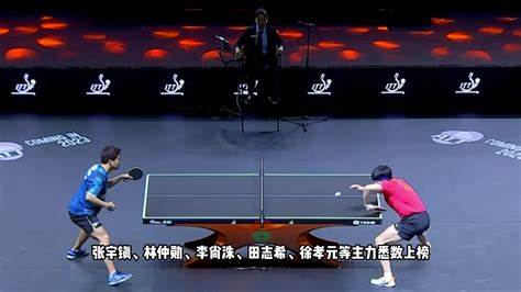 2019年乒乓球世锦赛决赛
