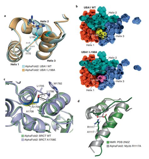 生命学院与合作者发表文章揭示TDP-43蛋白片段的结构转变机制