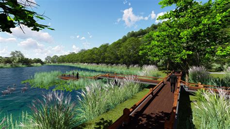 东涌红树林湿地园建设在即 打造大鹏新区生态文化名片