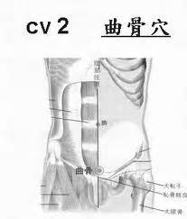 曲骨的准确位置图图片 曲骨的准确位置图图片
