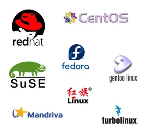 详解Linux的启动，文件系统，常用命令 - 知乎