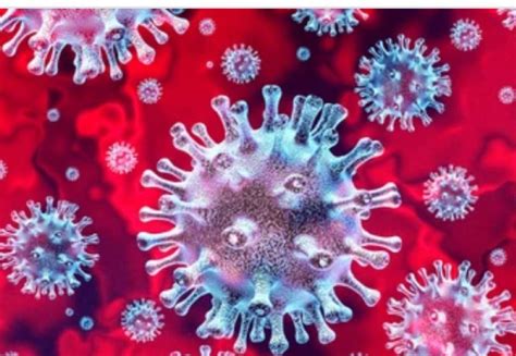 外媒：科学家发现新冠病毒有六个变种