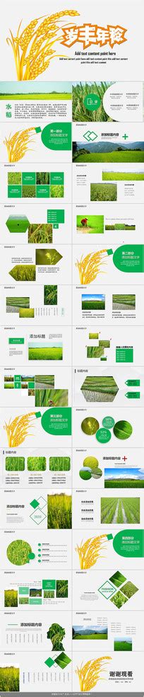 农民收获蔬菜高清图片下载-正版图片501770972-摄图网