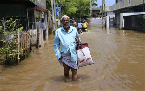 外媒：印度东部水灾导致的死亡人数超过200人 - 2017年8月20日, 俄罗斯卫星通讯社