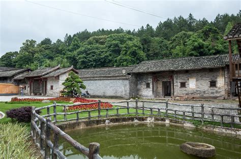 浙江卫视《跟着档案去旅行》走进莲都！寻找西溪村千年古村的红色印记 - 莲都 - 丽水在线-丽水本地视频新闻综合门户网站