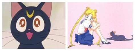 露娜水冰月美少女战士中会说话的黑猫~图片