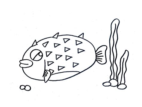 彩色热带小鱼简笔画画法图片步骤🎬小小画家