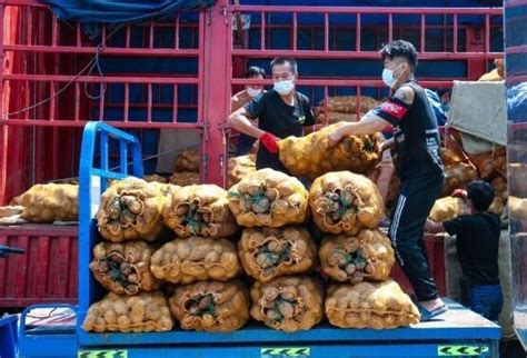 “来了！来了！”19吨帮扶销售的凉山土豆首次运到宁波
