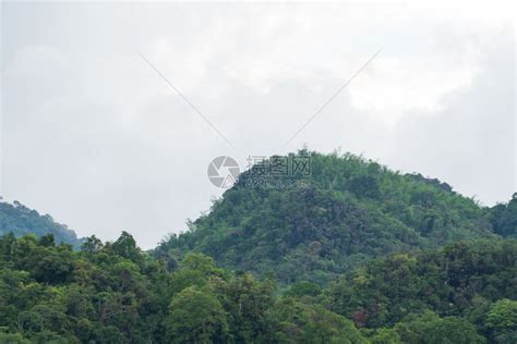 野生动物覆盖山岳的树在天雨季节多云乡村的森林高清图片下载-正版图片307751490-摄图网