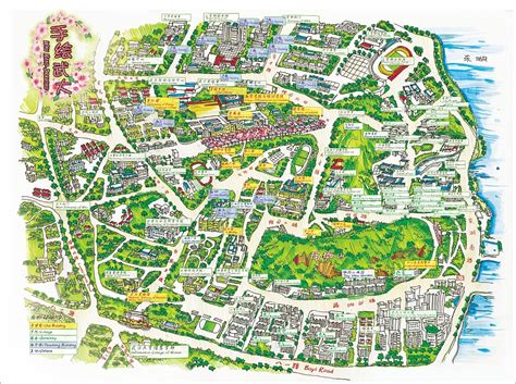 武汉大学手绘地图|插画|艺术插画|PeteZheng - 原创作品 - 站酷 (ZCOOL)