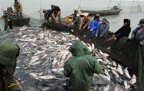 海南省南海现代渔业集团有限公司