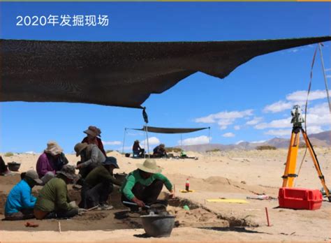 四项考古新成果实证西藏地区民族交往交流交融的历史 - 文博快讯 - 东南网