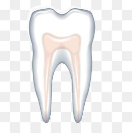 【一颗牙齿素材】免费下载_一颗牙齿图片大全_千库网png