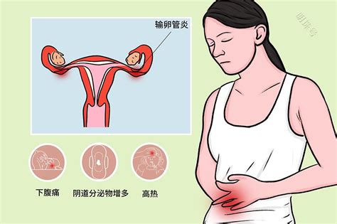 卵蛋网图解图片