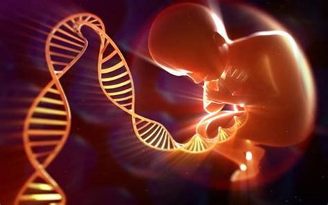 赛福基因公开课《Dravet综合征与SCN1A基因嵌合突变》-基因大讲堂-赛福基因-让每一个孩子更健康🧬