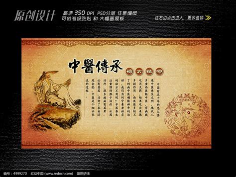 中医传承文化展板设计_红动网