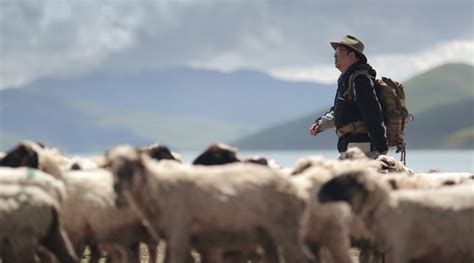 纪录片《这里是中国》第三季走进当雄体验藏乡巨变