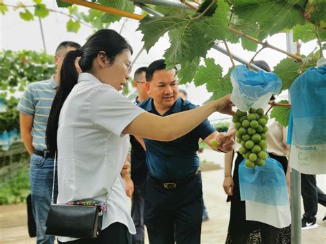 【深度·聚焦】眉山市坚定推动民营经济高质量发展系列报道丨“千企调研解难题” 把脉眉山产业发展-眉山网－眉山新闻网－主流媒体 眉山门户