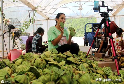 5天促成农产品销售30余吨 爱心助农在行动_中国江苏网