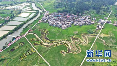 贵州安顺：建设美丽新农村 乡村振兴阔步前行|新华网|蜂糖|乡村_新浪新闻