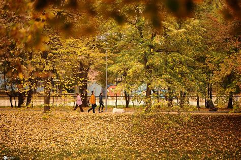 俄罗斯最美的园林秋色高清图片下载-正版图片501083883-摄图网