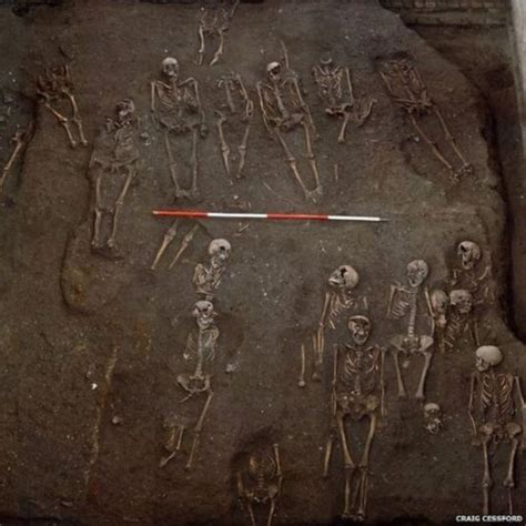 我们从哪里来：古人类骸骨化石残片显示人类祖先演化史比想象的要复杂得多 - 神秘的地球 科学|自然|地理|探索
