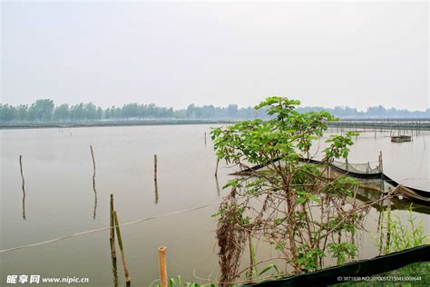 一百亩六个大鱼塘便宜转租了_池塘价格_中国水产养殖网
