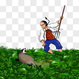 刺猹表情包图片