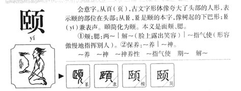 "颐" 的详细解释 汉语字典