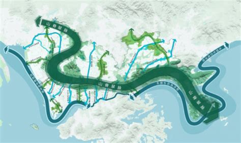 深圳打造世界领先极速先锋城市 2023年底前建成超级宽带网络_凤凰网财经_凤凰网