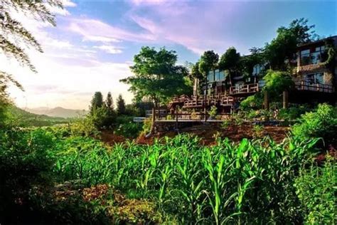 海南推出10条休闲农业与乡村旅游精品景点线路